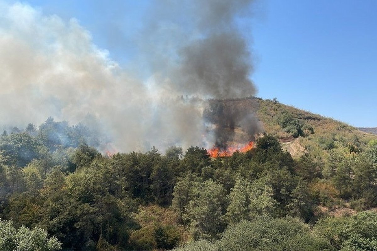 نقش قابل‌توجه و مهم زنان در اطفای حریق جنگل‌های چالوس