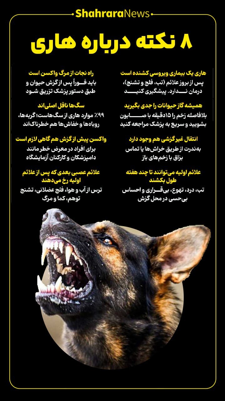 اینفوگرافی| هشت نکته درباره هاری