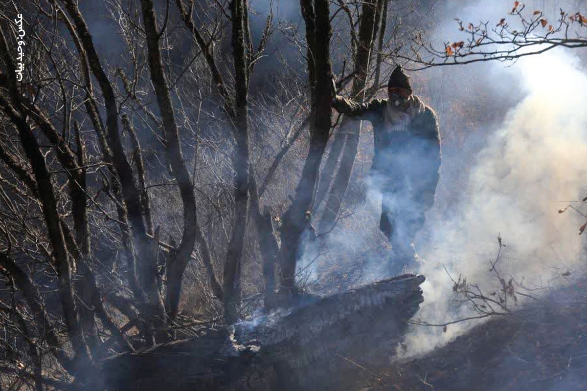 روایت وحید بیات، عکاس مشهدی از آتش سوزی جنگل‌های هیرکانی | عکاسی بحران، مرز احساس و حرفه را می‌شکند