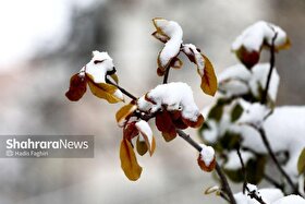 هشدار هواشناسی به ۲۵ استان | خسارت به محصولات کشاورزی با تشدید بارش‌ها