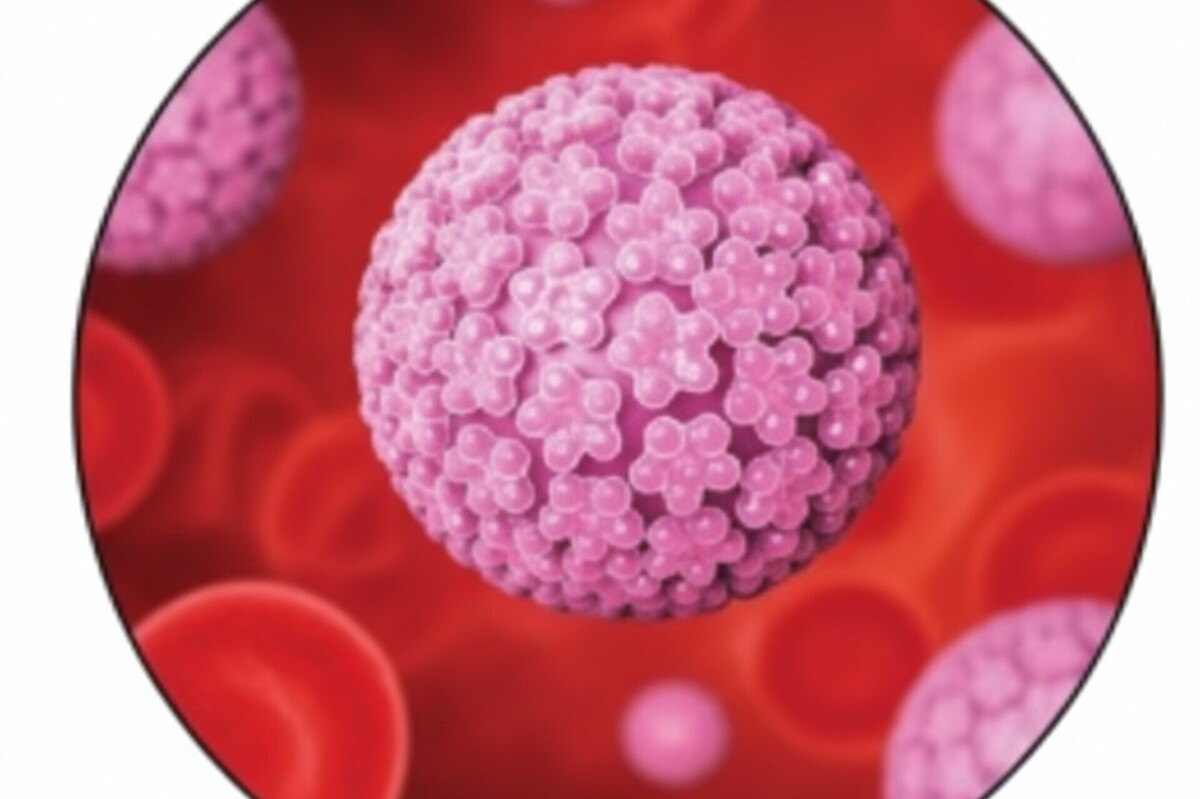 آنچه باید درباره زگیل تناسلی بدانید | از علائم تا پیشگیری