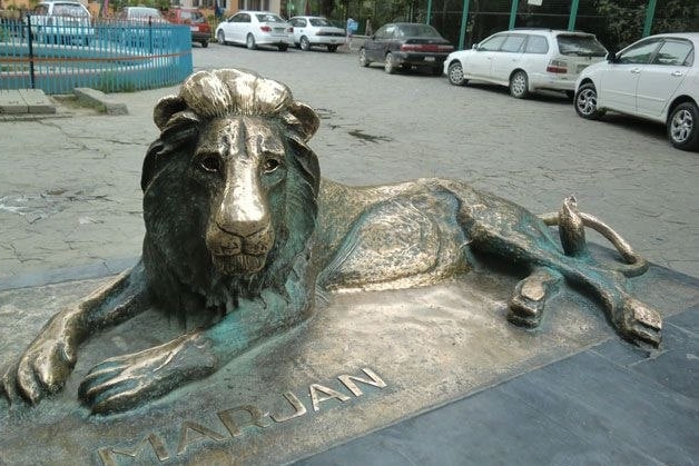 درباره مرجان شیر باغ وحش کابل که نماد رنج مردم افغانستان بود