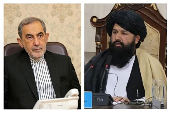 وزیر تحصیلات عالی طالبان به دیدار علی‌اکبر ولایتی رفت