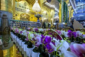 ویدئو| آمادگی خادمان کربلا و نجف برای برگزاری جشن میلاد حضرت زهرا (س)