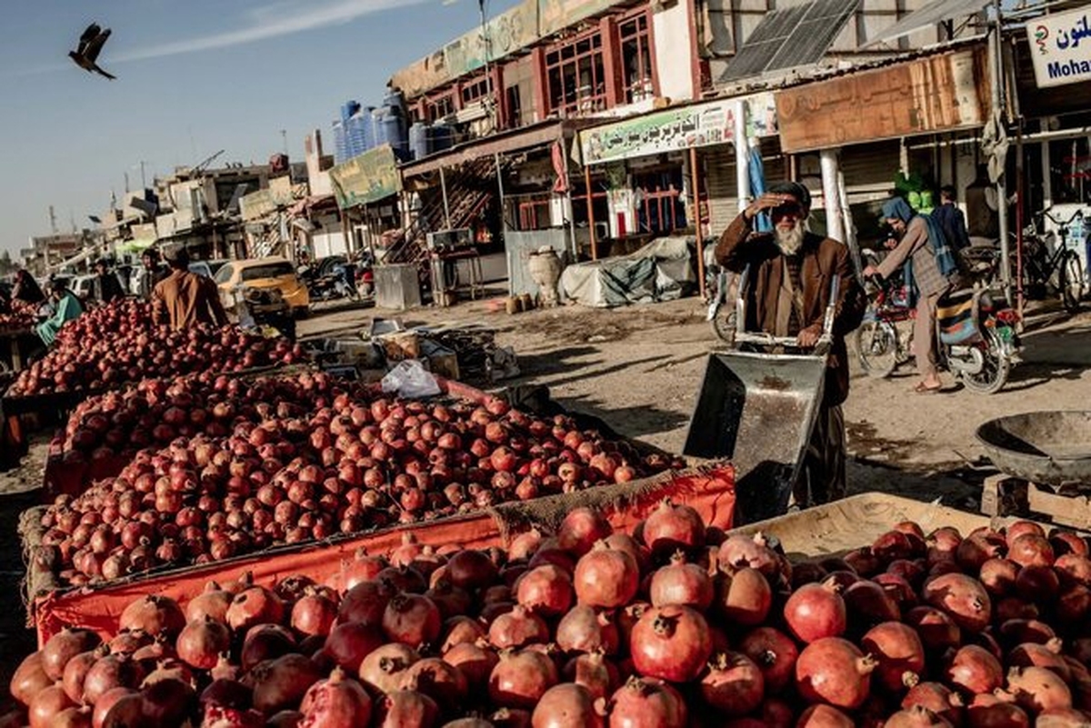بسته شدن مرز‌ها و تعلیق زندگی‌ میان کابل و پیشاور