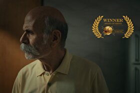 نشان ویژه شایستگی جایزه سینمایی آمریکا به «هوادار» رسید