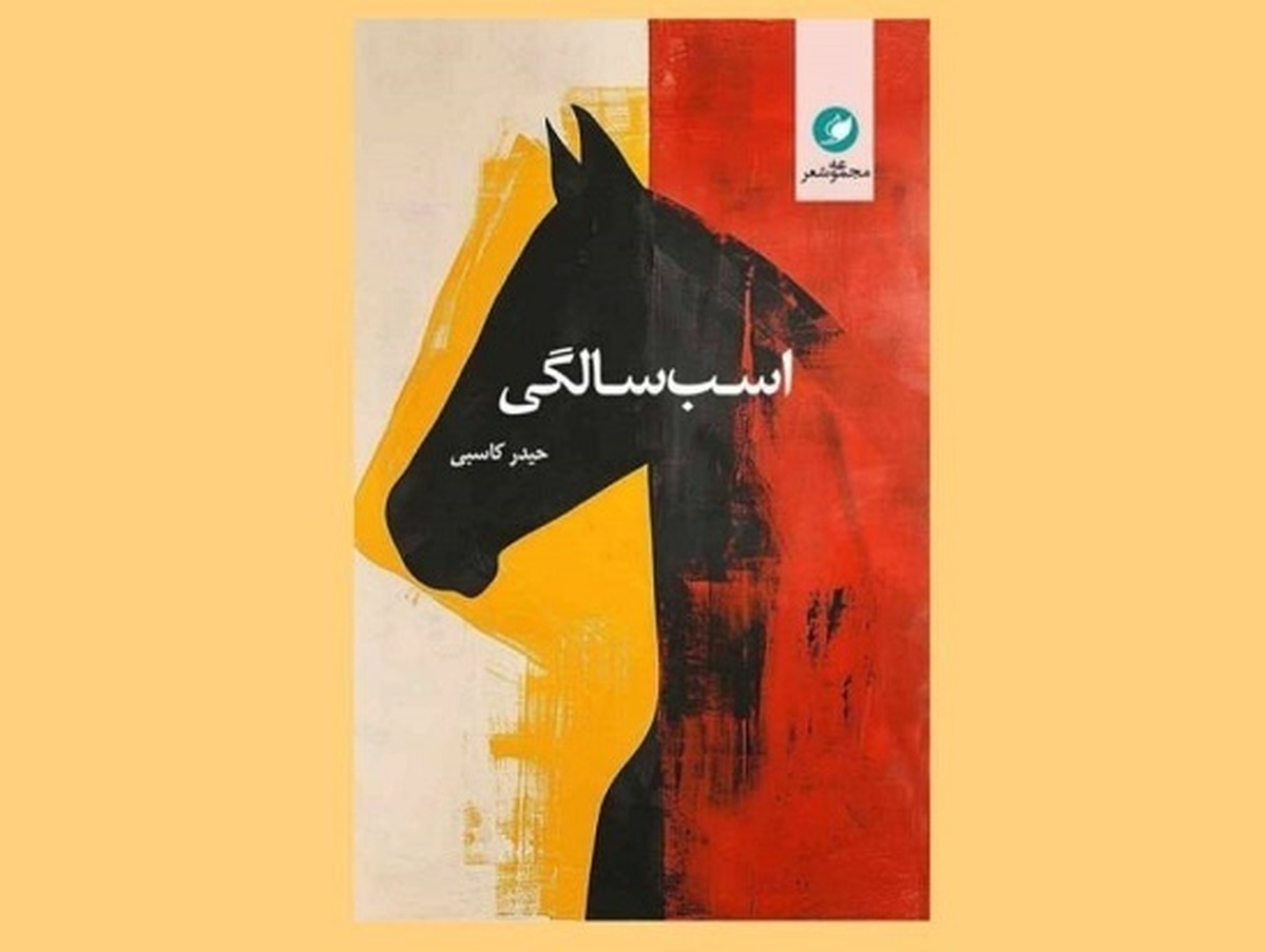 به نور ناامید ماه، به پرنده مادر | درنگی بر کتاب «اسب‌سالگی» اثر شاعر خراسانی