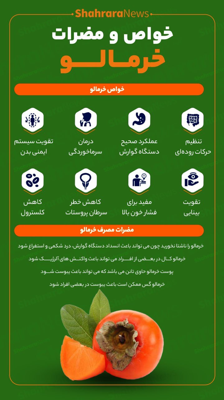 اینفوگرافی| خواص و مضرات خرمالو