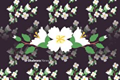 یادداشت کودک | چرا همه حضرت زهرا‌(س) را دوست دارند؟