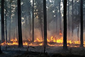 حریق جنگل‌های هیرکانی بالاخره مهار شد (۲ آذر ۱۴۰۴)