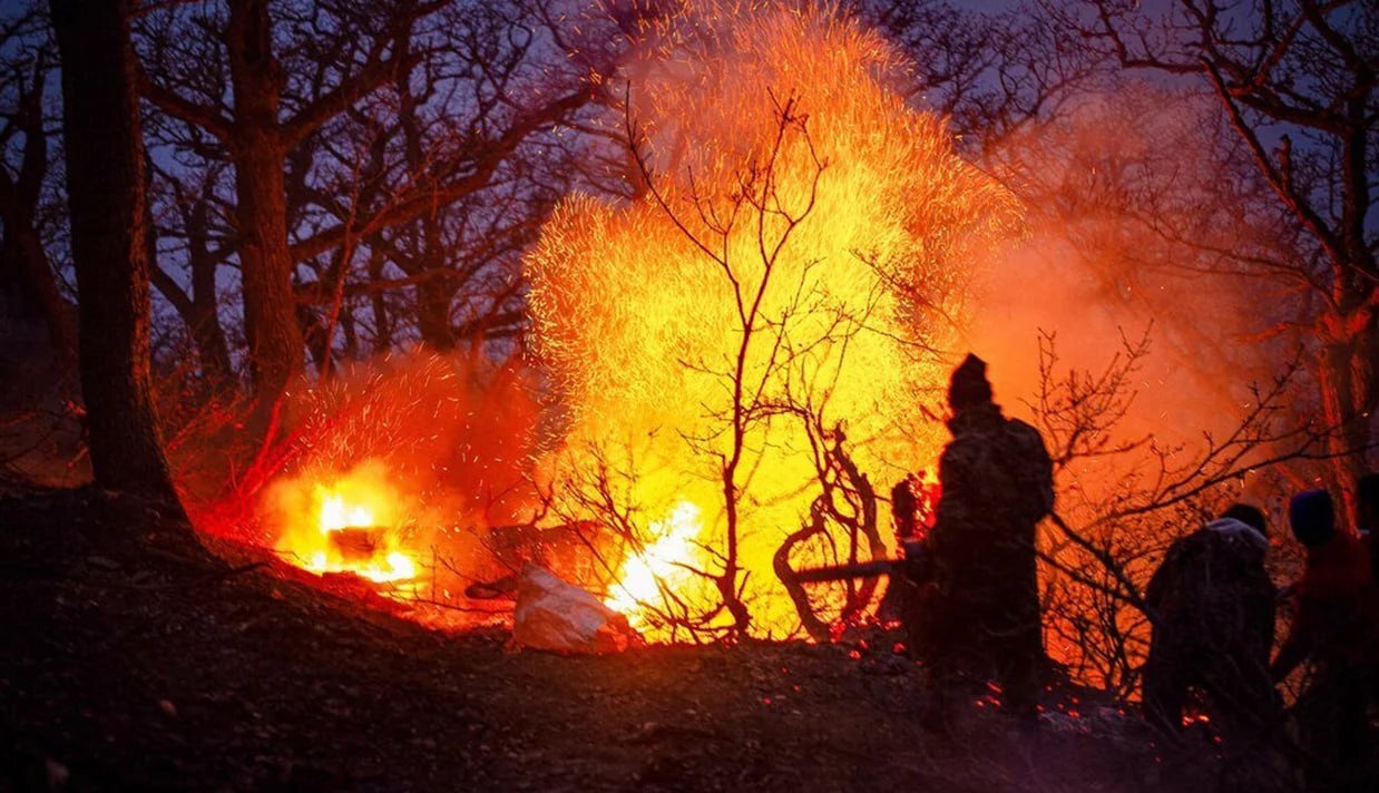 روزگار سیاه گنج سبز ایران | روایتی از دلایل افزایش وقوع آتش‌سوزی در جنگل‌های هیرکانی مازندران