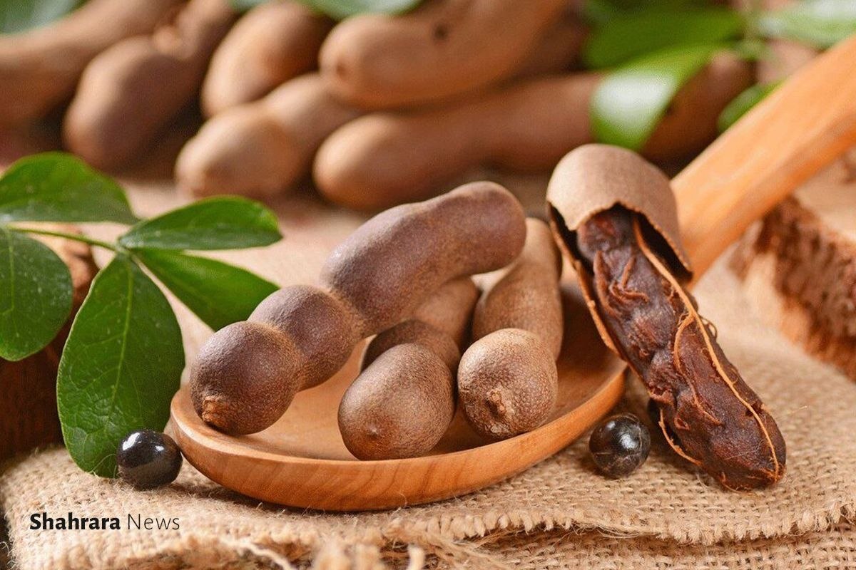 دانستنی‌هایی برای کودکان | دو میوه دوست‌داشتنی