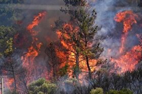 بزرگترین عملیات اطفای حریق کشور در الیت چالوس؛ استفاده همزمان از ۲ ایلوشین ۴۰ تنی