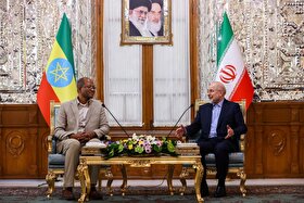 دیدار رؤسای مجالس ایران و اتیوپی در تهران (۲۲ آذر ۱۴۰۴)