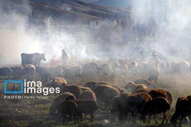 ایران زیباست | طبیعت پاییزی الشتر