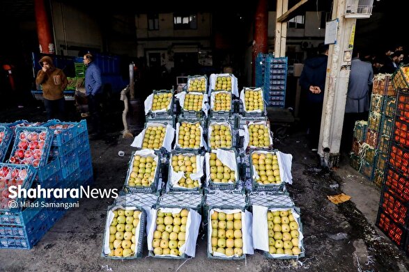 تیم‌های نظارت جهاد کشاورزی بر عمده‌فروشان و کارخانجات نظارت می‌کنند