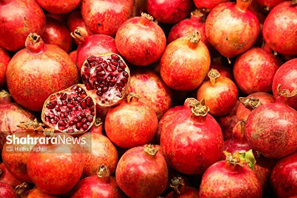 افزایش مراکز سیار عرضه میوه در مشهد هم‌زمان با شب یلدا ۱۴۰۴