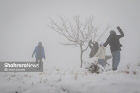 مردم در برف‌تکانی درختان مقابل منازل به شهرداری مشهد کمک کنند