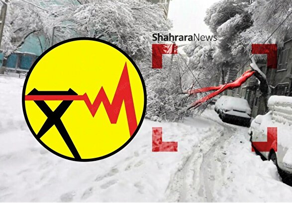 قطع برق در برخی نواحی مشهد به دلیل سقوط درختان (۲۹ آذر ۱۴۰۴)