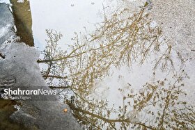 بارش باران در گناباد، رکورد ۳۶ ساله را شکست (۲۹ آذر ۱۴۰۴)