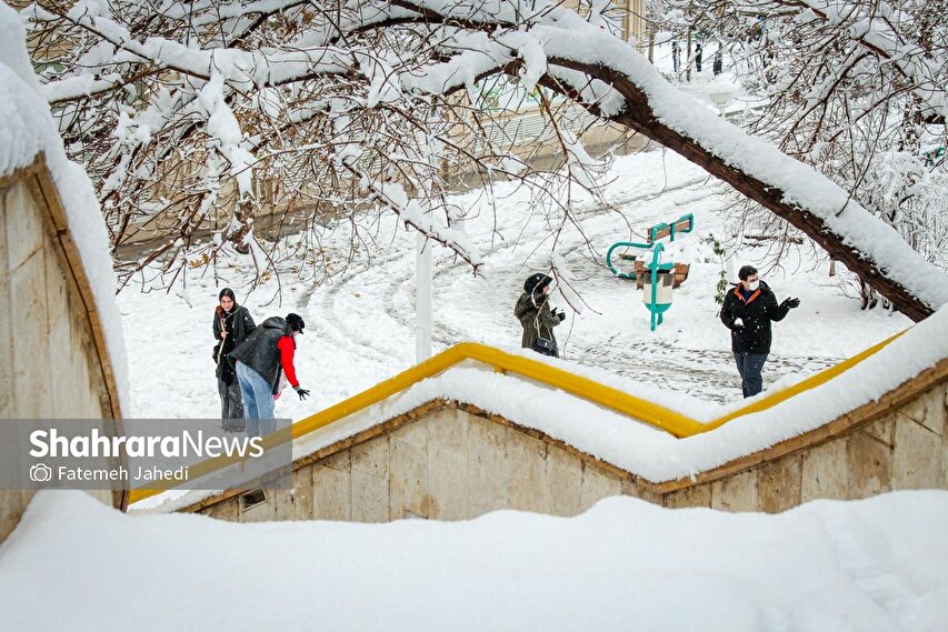 گزارش تصویری |بارش برف پاییزی در مشهد