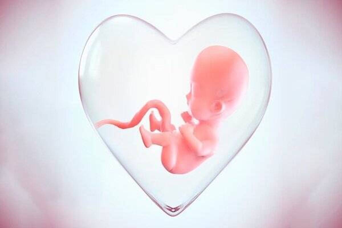 راه اندازی شبکه‌ای گسترده برای حمایت از مادران در معرض سقط در کشور