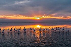 ویدئو| غروبِ زیبا میانکاله