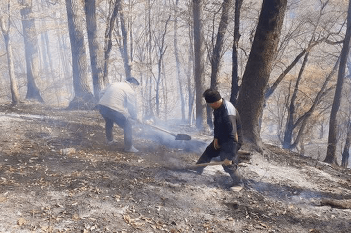 پایان آتش‌سوزی در جنگل‌های گلستان