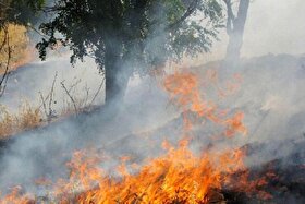 شعله‌ور شدن دوباره یک نقطه از جنگل‌های نمنق در اثر باد