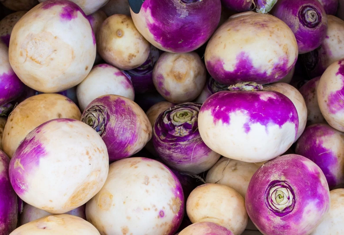 قیمت امروز میوه و تره بار در مشهد (۶ آذر ۱۴۰۴) | شلغم «دوای درد سرماخوردگی» چند؟