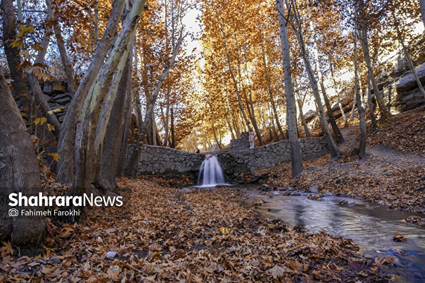 گزارش تصویری | طبیعت پاییزی شاندیز