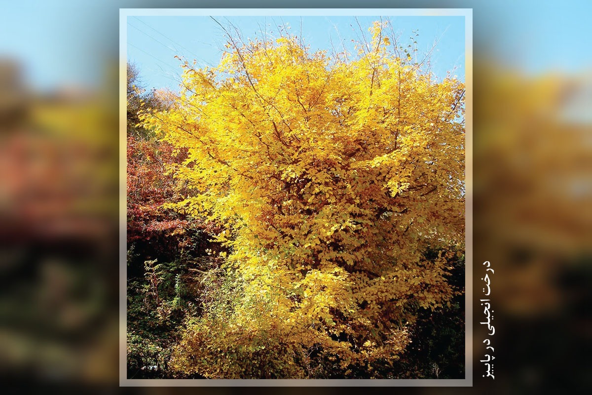 خوابیم یا بیدار؟