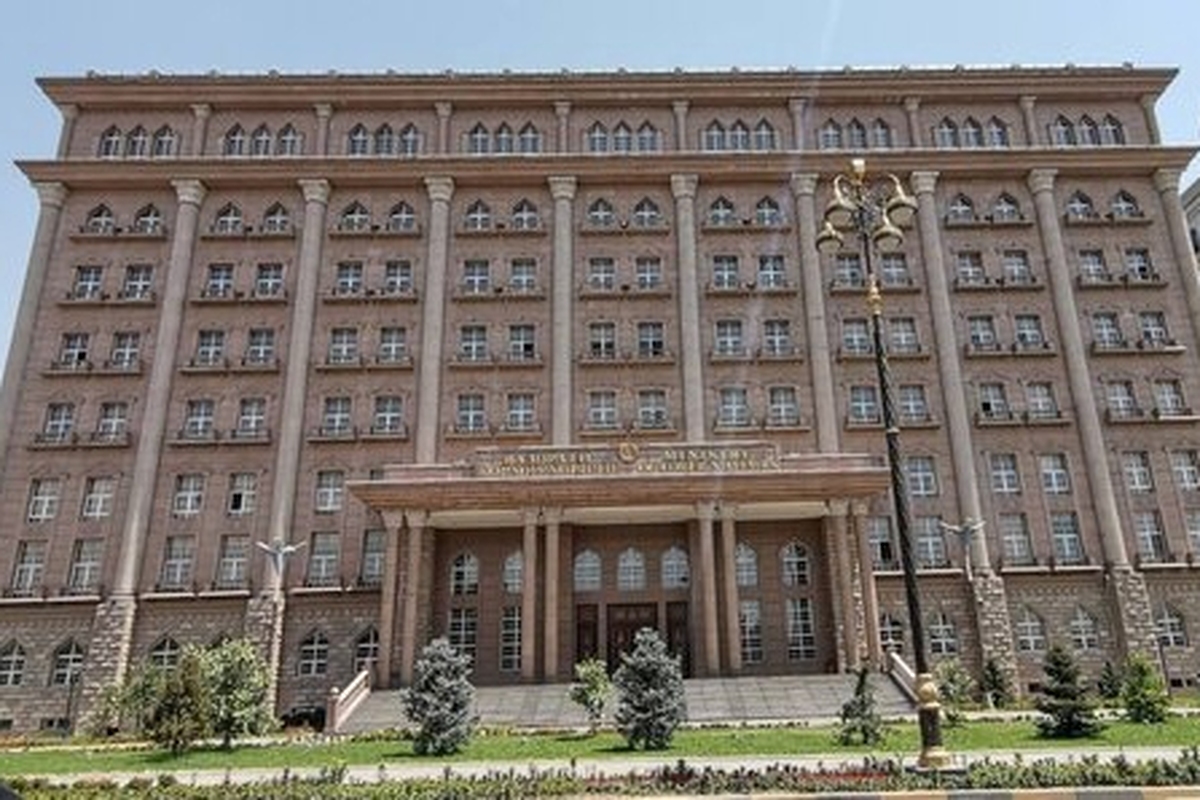 در حمله پهپادی از خاک افغانستان به خاک تاجیکستان ۳ تبعه چینی کشته شدند