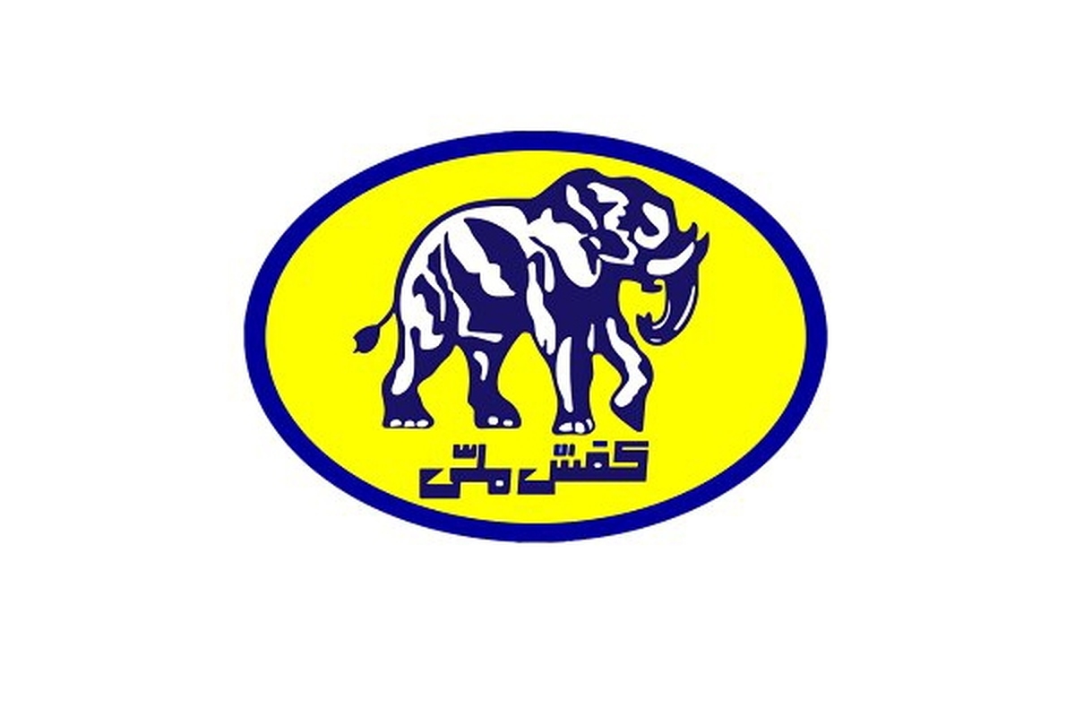 دیوان محاسبات به واگذاری غیرقانونی ملک شرکت کفش ملی ورود کرد