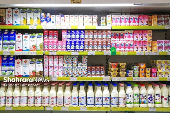 زمزمه افزایش قیمت لبنیات به گوش می‌رسد | قیمت‌های جدید لبنیات در حال تصویب