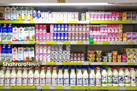 زمزمه افزایش قیمت لبنیات به گوش می‌رسد | قیمت‌های جدید لبنیات در حال تصویب