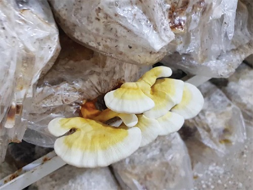 مسیر ناهموار استارتاپ ها | روایتی از چند استارتاپ مشهدی که با وجود چالش‌ها و نبود حمایت، هنوز هم سرپا مانده اند