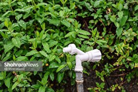 پیش‌بینی رگبار باران و رعدوبرق در خراسان رضوی و ۱۹ استان دیگر (دوشنبه، ۱۷ فروردین ۱۴۰۵)