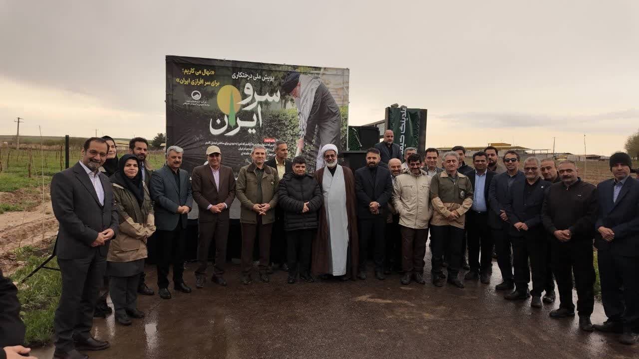 کاشت ۱۴ هزار نهال در مشهد؛ گامی نو در راستای توسعه فضای سبز