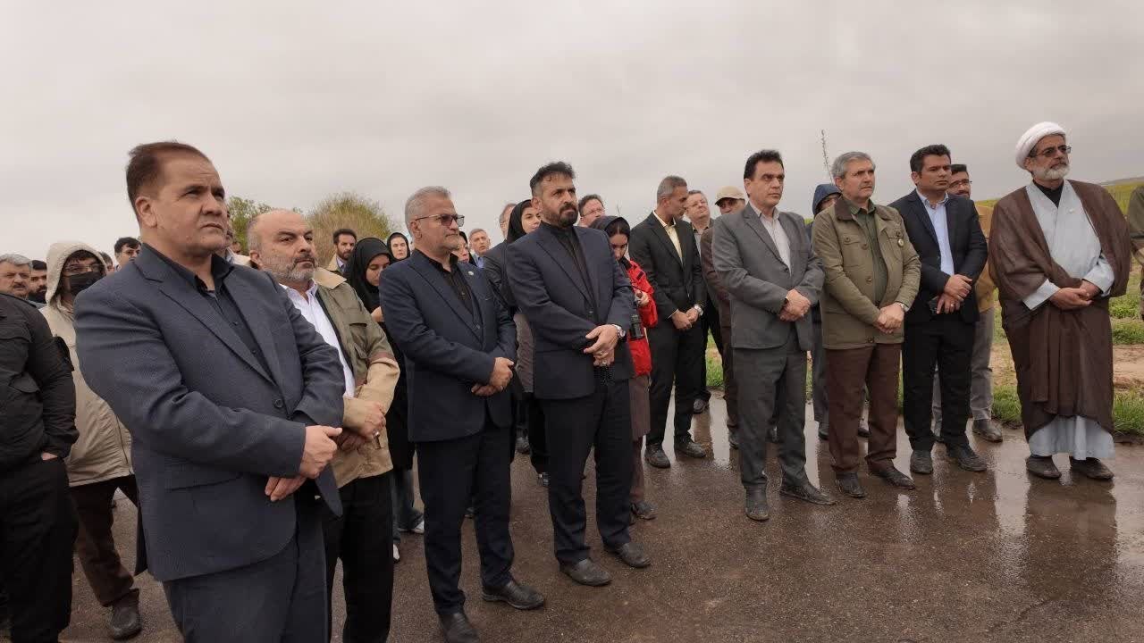 کاشت ۱۴ هزار نهال در مشهد؛ گامی نو در راستای توسعه فضای سبز