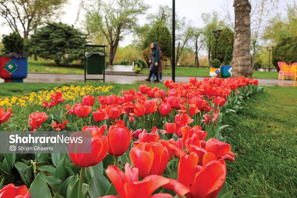 ۲ بوستان مهم شهر مشهد در بهار ۱۴۰۵ میزبان ۱۴۰ هزار گل لاله هستند | لاله‌باران ملت و وکیل‌آباد