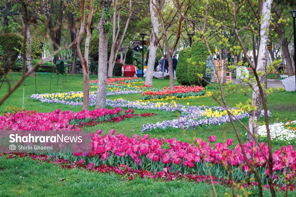 ۲ بوستان مهم شهر مشهد در بهار ۱۴۰۵ میزبان ۱۴۰ هزار گل لاله هستند | لاله‌باران ملت و وکیل‌آباد