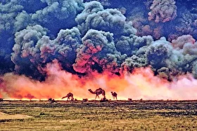 آخرین آمار خسارت محیط زیستی جنگ رمضان اعلام شد