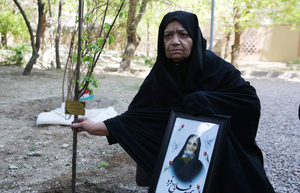 هر بانوی شهید، یک درخت