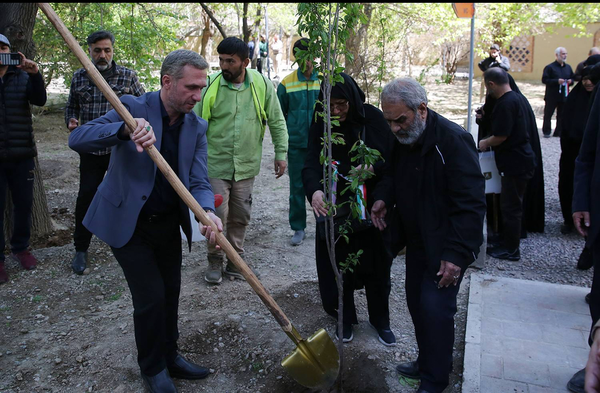 هر بانوی شهید، یک درخت