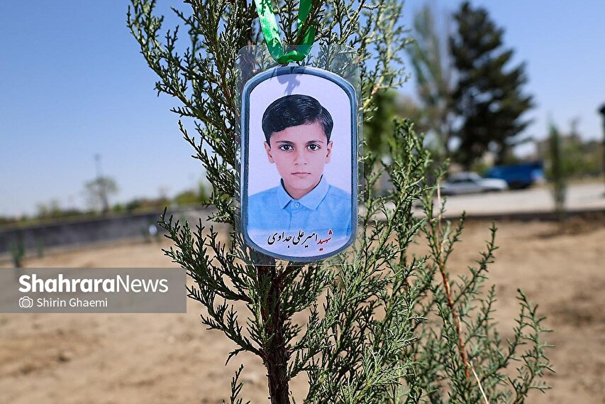گزارش تصویری | «گلستان میناب» در بوستان جهان شهر