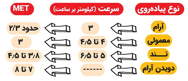 چگونه عادت روزانه پیاده‌روی می‌تواند سلامت‌ ما را متحول کند؟ | قدم‌های کوچک، تغییرات بزرگ