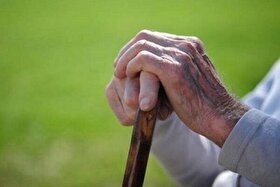 تا سال ۱۴۳۰ سالمندان ۳۰ درصد جمعیت کشور را تشکیل می‌دهند