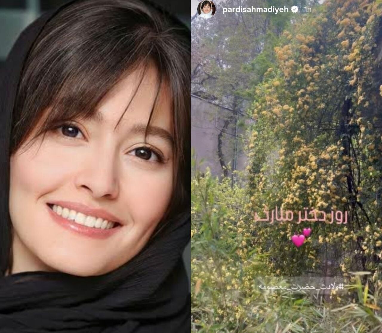 تبریک متفاوت هنرمندان برای روز دختر (۳۰ فروردین ۱۴۰۵) + تصاویر