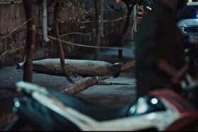 آغاز اکران‌های مردمی «نیم‌شب» در سراسر کشور | شما هم می‌توانید اکران کننده باشید